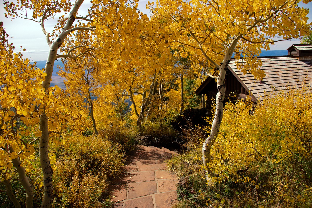 The Best Snowshoeing Trails in Aspen, Colorado